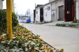 汝州市：聚力人居环境整治 乡村增颜提质焕新图片