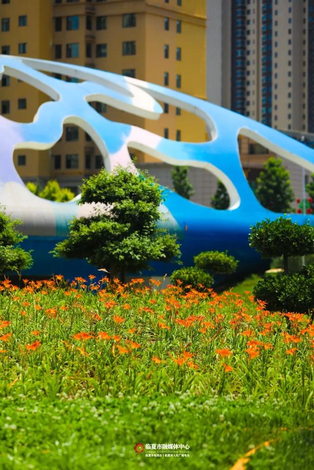 临夏市：一座把“浪漫”写进马路牙子的城市