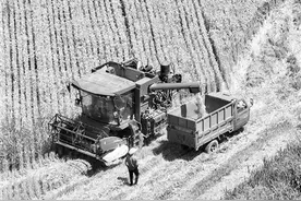 晋中国家农高区：科技潜力转化为现实产量图片