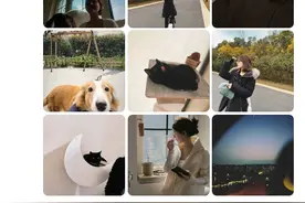 赵露思晒休养日常:在四川“慢慢 漫漫”享受自然风光图片