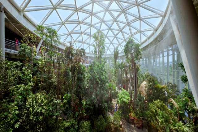 超适合冬日遛娃，北京室内“热带雨林”攻略请收好