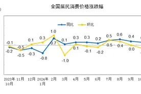 国家统计局发布重磅数据！2024年10月全国居民消费价格同比上涨0.3% ！专家解读图片