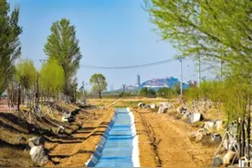 西阁老村：堤岸上柳叶初发 景观河道内山桃花盛开图片