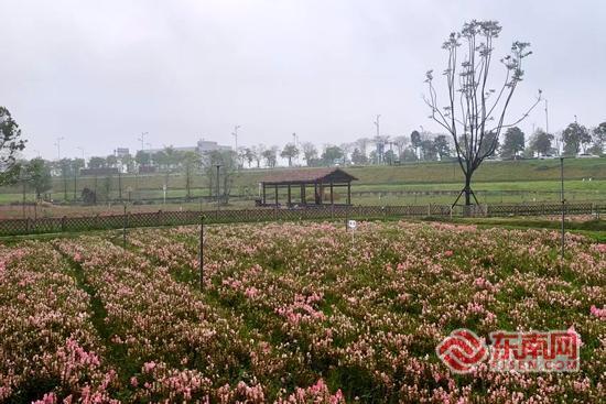 文旅采风走进漳州：龙江焕新颜 水乡藏古韵