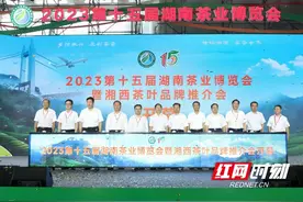 2023第十五届湖南茶业博览会在长沙开幕图片