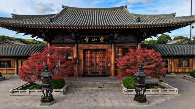 要降温了，准备好去迎接绚烂魔都！宝山寺的枫树已变红，秋霞圃的枫树、局门路的银杏再等20天