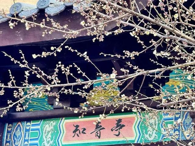 “青”读常州 | 在地标里遇见千年故事