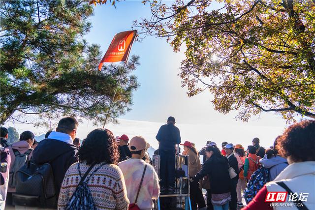 【每日一图@湖南】张家界暖冬限定！天子山暖阳沐峰林
