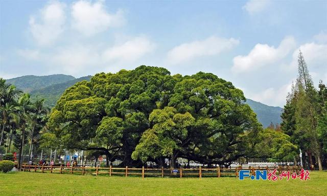 今天，福州“原住民”集体开麦！