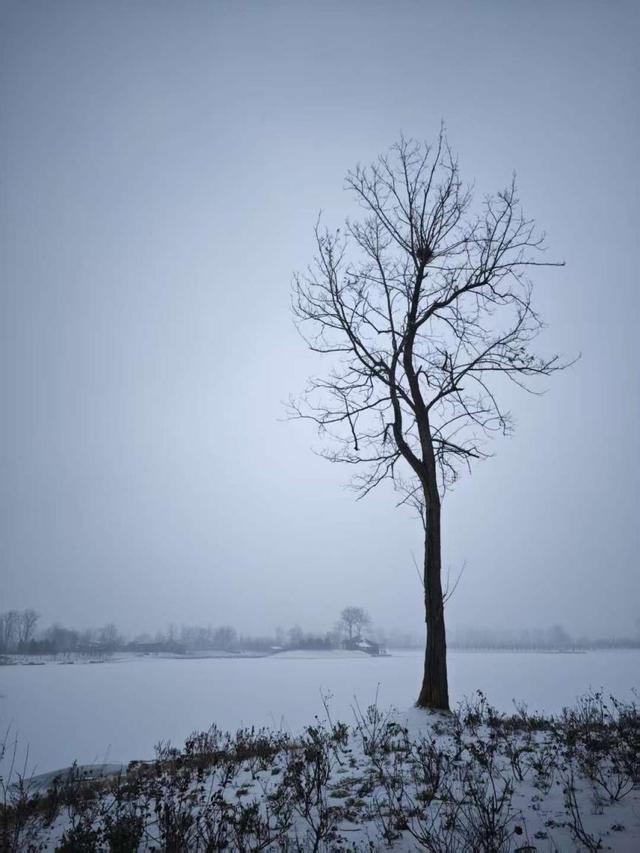 一脚踏进黑白世界！记住这个地方，下场雪来打卡