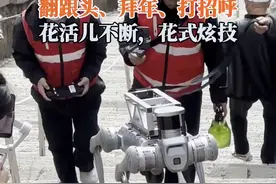 倒立走、拜年礼…“显眼包”机器狗挑战泰山十八盘，花式炫技图片