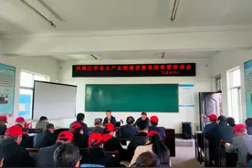 凤翔区突出“四抓” 促进苹果产业快速发展图片