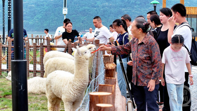 重庆忠县：儿童乐园国庆受热捧 亲子活动精彩纷呈