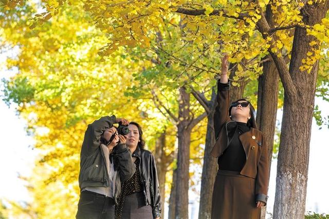 冬日尽斑斓 城市如诗画