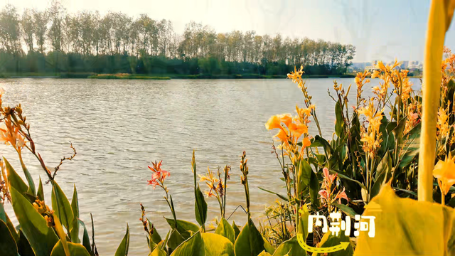 别宅啦！去江陵的街头“捡秋”吧