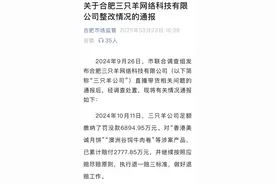 整改半年后“三只羊”或有望复出：合规仍是头等大事，小杨哥们无法再“疯狂”图片