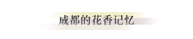 成都，耍起｜从阅读到香氛的多维漫游