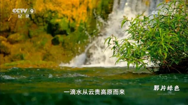 纪录片《珠江》：描绘向海而生、开放包容的文明长卷