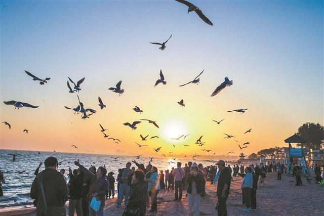 山海相依 点绿成金——秦皇岛市北戴河区持续推动生态优势多方转化