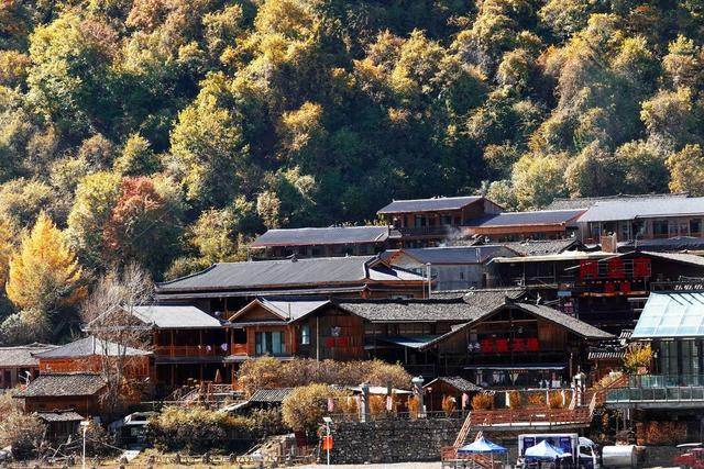 四川平武彩林红叶进入最佳观赏期  九绵高速催生“快旅慢游”新体验