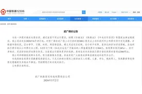 武广等4条高铁票价将进行优化调整：实行有升有降，差异化的折扣浮动策略图片