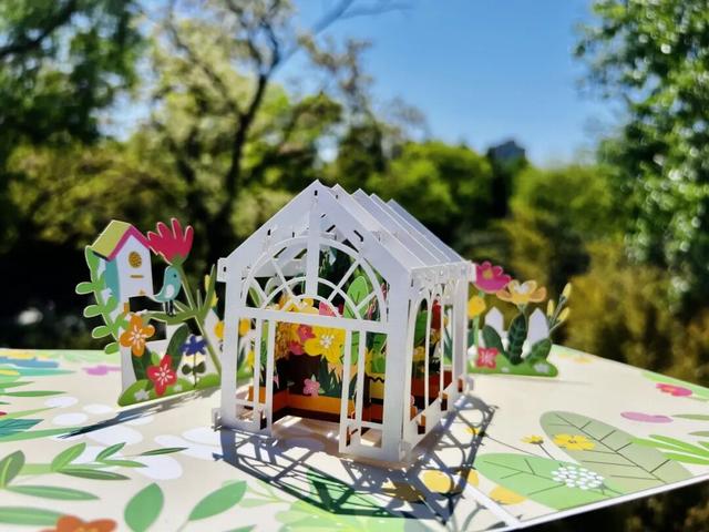 北京十六区，区区有“树王”！古树科普宣传周活动将启动