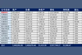 晶科、远景、TCL中环、阳光电源，新能源巨头为何集体挺进沙特？图片