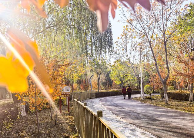 组图丨武威 ：城市公园秋景如画