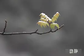 什么？贵阳可能要下雪？！图片