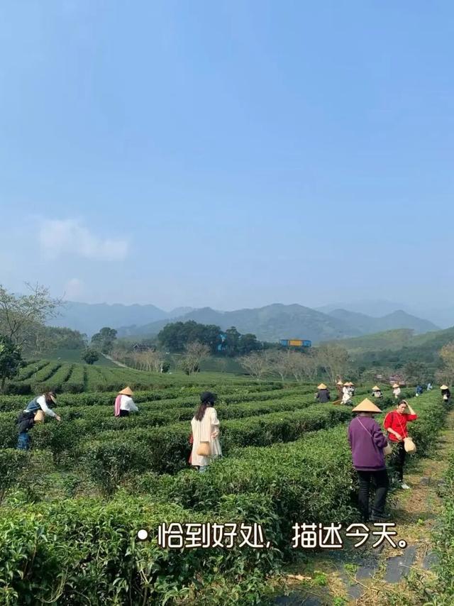 浪漫茶田，赴一场暖炉与手作的邀约~