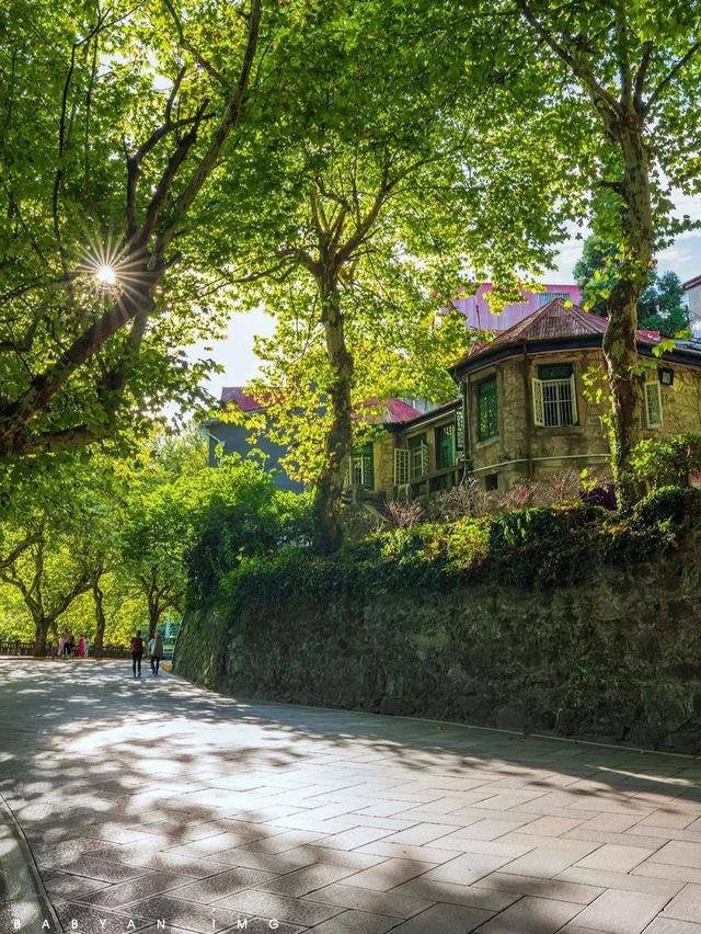 立秋暑未消？江西这些地方藏着 25℃的清凉