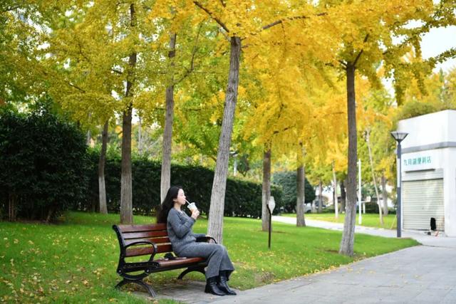 绝美！走，打卡去！