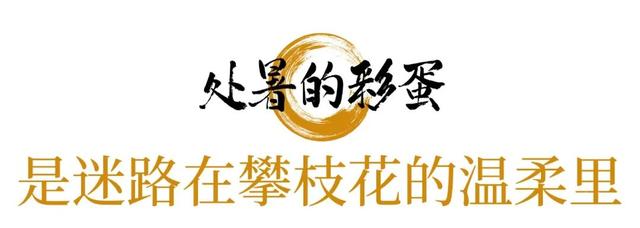 团团的二十四节气｜处暑至 秋意生，来攀枝花，把夏天未尽的热烈过成秋天最初的诗