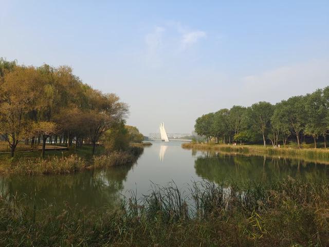 郑州“满城彩”的秋色，即将被“雨打风吹去”