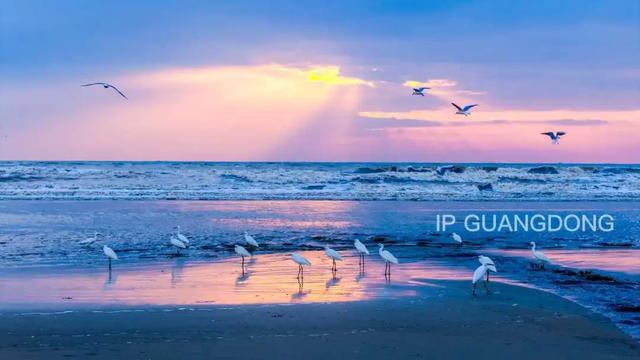 粤西向海，绘就湛蓝新画卷