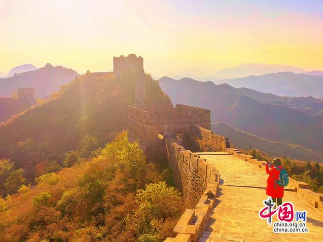 重阳时节登高金山岭，长城秋色尽显浪漫风情