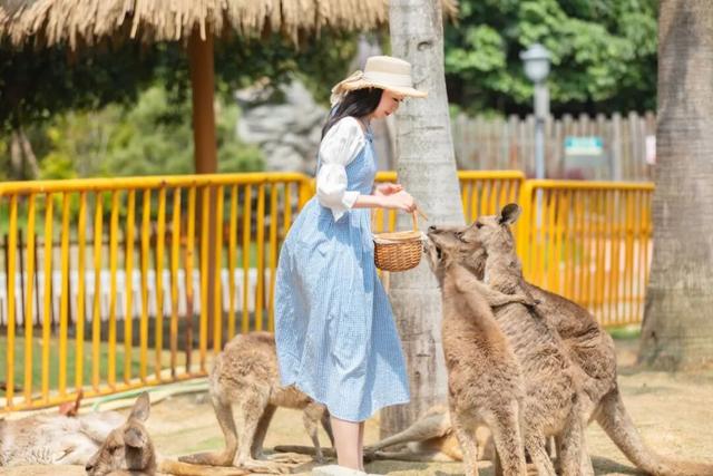 跑福马 游福州 | 逛吃福州专属福利已就位！