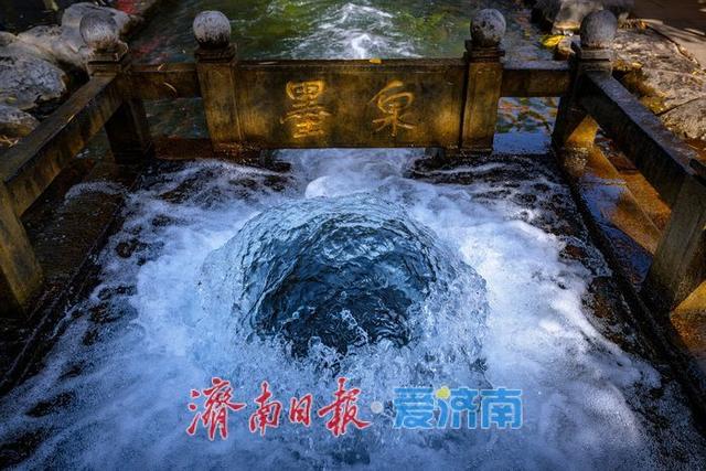 济南泉景再添彩！墨泉、梅花泉、漱玉泉争相喷涌，市民赏泉络绎不绝