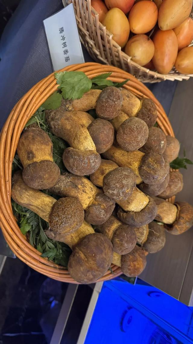 飞昆明吃几顿饭