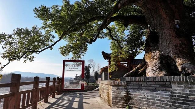 采风问俗探崇仁：千年古镇绘就非遗文化与青年活力新画卷