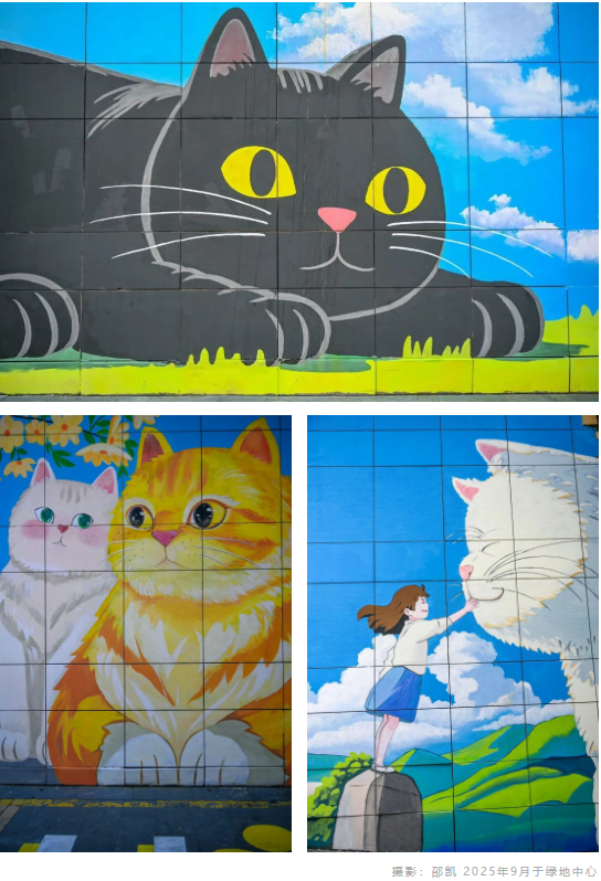 济南的这些“墙”上藏着城市彩蛋！打卡超出片！（一）