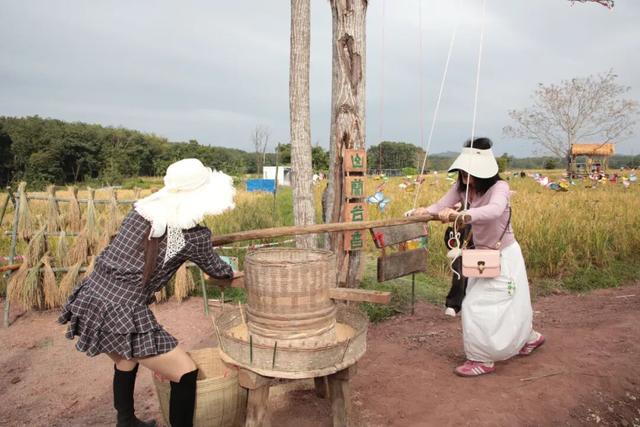 多图+视频！一起回看2025年白沙“啦奥门”雨林与您山兰文化活动精彩瞬间