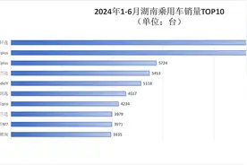 湖南车市半年报｜谁是湖南消费者用真金白银投出的TOP10？图片