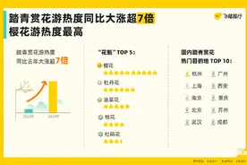 清明赏花热度飙升，“有花的地方”婺源、洛阳、林芝已成黑马图片