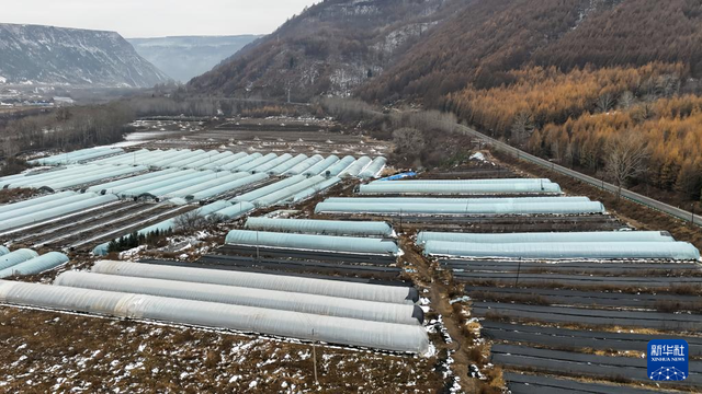 G331：“国门之路”促发展