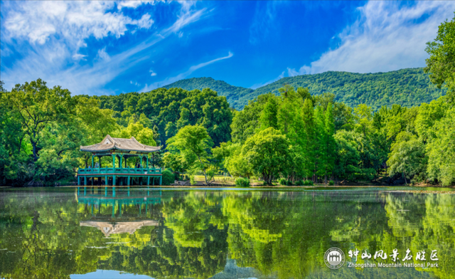 南京钟山风景区发布游览交通指南
