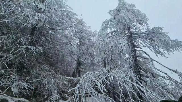 雪雪雪雪雪雪雪，邂逅太白山的冬日童话