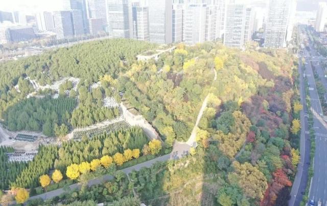 济南已建成300余公里山林绿道，串起泉城市民美好生活 | 高新篇