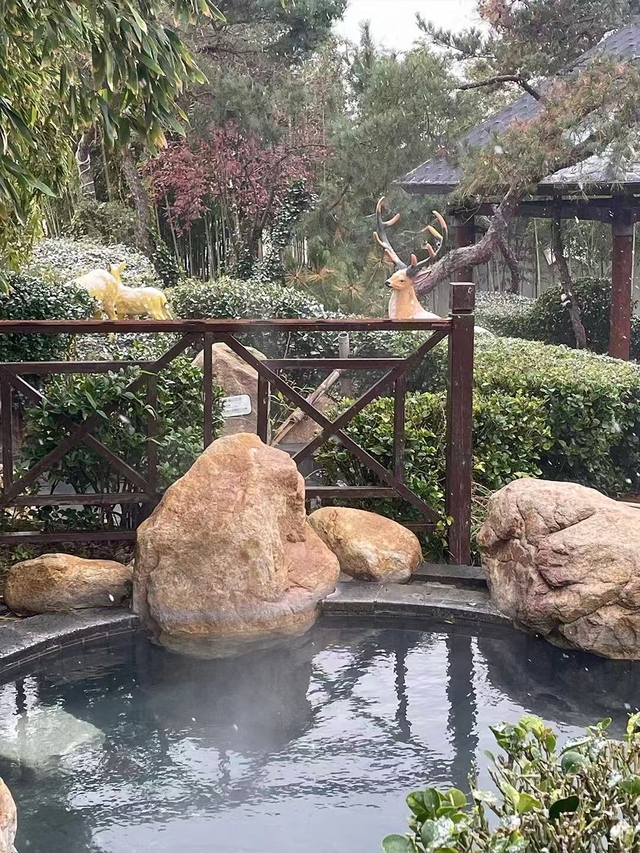 诗意之冬醉威海 | 暖汤沐心·冬享闲适之旅