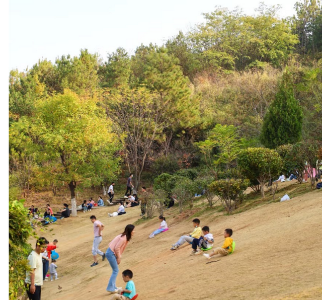 秋日骑行 冬观候鸟 探秘江夏湿地漫游
